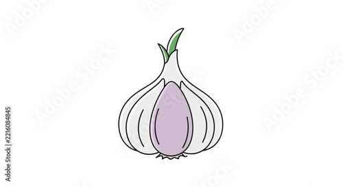 Cartoon style garlic bulb illustration with exposed clove, fresh culinary vegetable for cooking and healthy eating