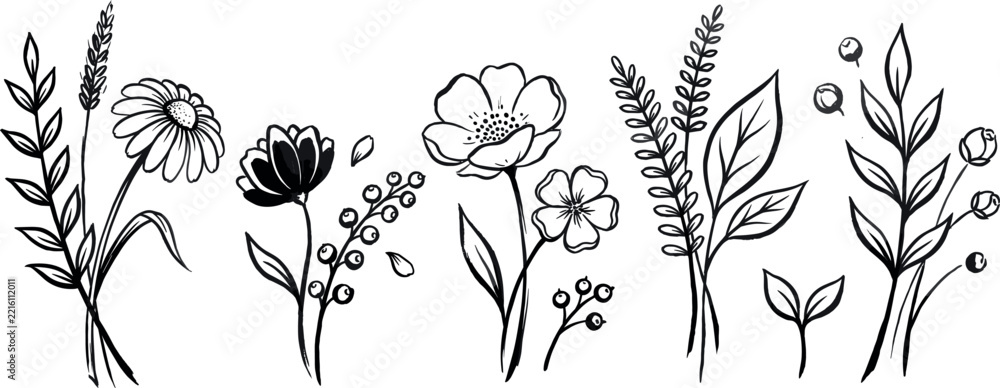Fototapeta premium Flower brush hand drawn vector set. Hand drawn doodle flower, floral leaf elements in brush stroke ink style. Simple abstract botanical silhouette set for nature black paint art. Vector illustration