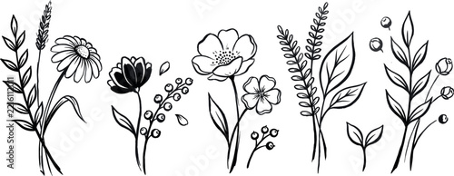 Flower brush hand drawn vector set. Hand drawn doodle flower, floral leaf elements in brush stroke ink style. Simple abstract botanical silhouette set for nature black paint art. Vector illustration