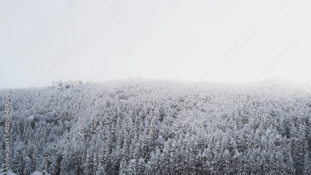 Fototapeta premium 美しい雪山