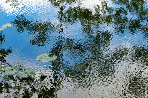 Trees and sky reflect softly on rippling pond water.