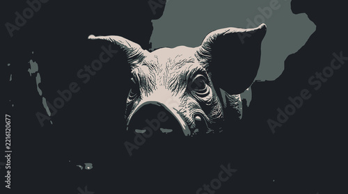 Cute pink pig