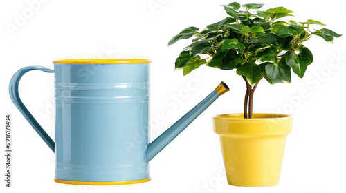 A light blue watering can beside a small plant in a yellow pot