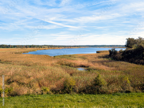 Radelsee Nature Reserve with Coastal Wetlands and Reed Beds in Rostock (Mecklenburg-Western Pomerania, Germany)