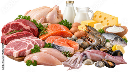 High protein food sources showing meat, seafood, dairy, and eggs