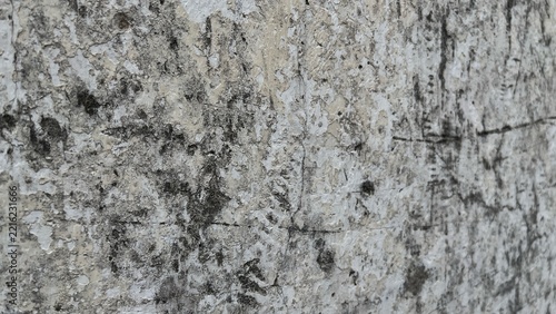 Weathered white and gray concrete wall texture with cracked, peeling, and distressed surface details. Neutral aged background suitable for architectural, industrial, grunge, vintage, and abstract