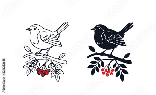 Graphic illustrations of a robin bird sitting on a rowan berry branch in outline and silhouette style