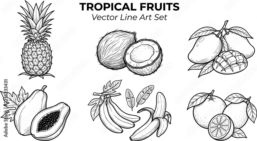 Fototapeta premium Tropical fruits vector line art set pineapple coconut mango papaya banana orange vintage engraving illustration collection