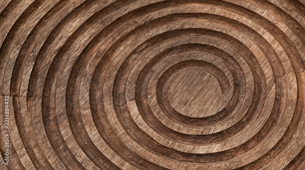 Fototapeta premium Wooden log cross section showing concentric growth rings