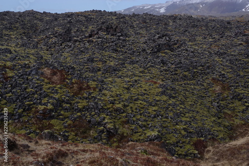 Obraz na plátně Green moss covered lava field in Snaefellsjokull National Park on Snaefellsnes p