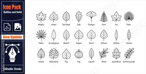 Leaves icon pack outline and solid style design includes maple heart serrated oak ginkgo fern ivy palm leaves. Minimalist Line Icon Vector
