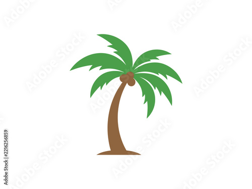 Tropical palm tree with coconuts and green fronds on white background
