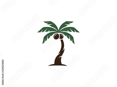 Tropical palm tree with coconuts and green leaves