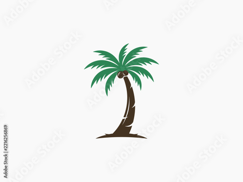 Tropical palm tree with coconuts isolated on white background