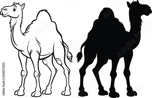 Camel vector silhouette and line art illustration of dromedary animal