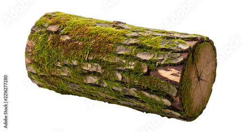Single mossy tree log isolated on a white transparent background for nature photography and forest design projects