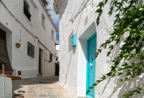picturesque narrow alley in a traditional whitewashed spanish village featuring whitewashed walls, a bright blue wooden door, green foliage, and stone paving on a sunny day.