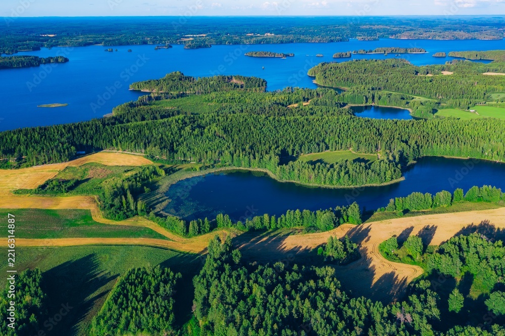 Fototapeta premium Aerial view of vibrant green forests surrounding calm blue lakes and meandering fields