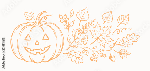 Hand drawn pumpkin and autumn leaves set
