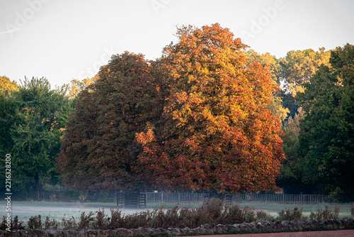 EARLY AUTUMN