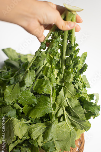 Daikon radish with green stem.