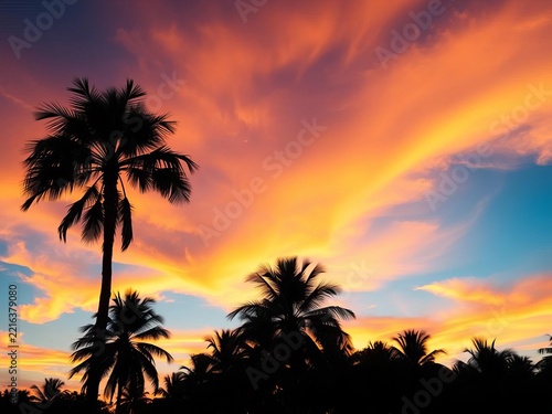 Palm tree silhouettes against vibrant sunset sky, vacation, ocean