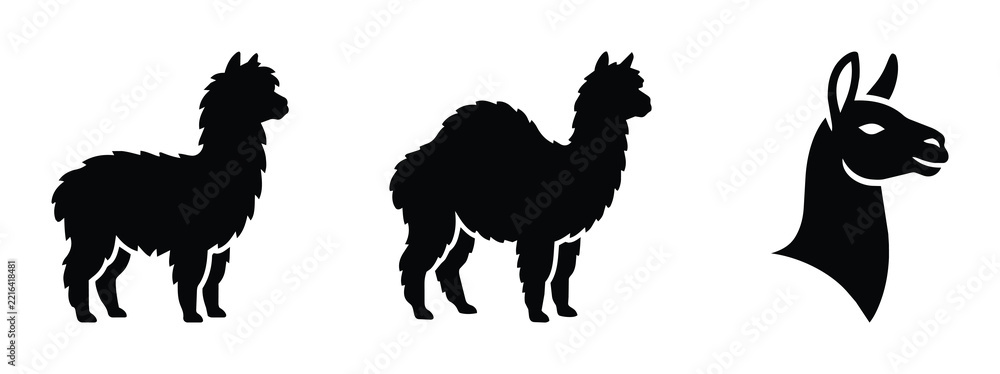 Fototapeta premium Llama and camel silhouettes set with animal heads for logos and icons