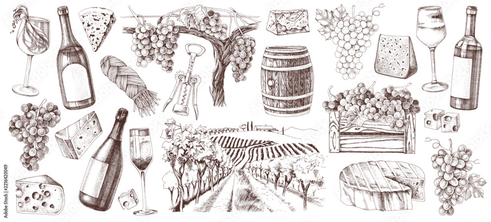 Fototapeta premium Wine, cheese and vineyard illustrations set