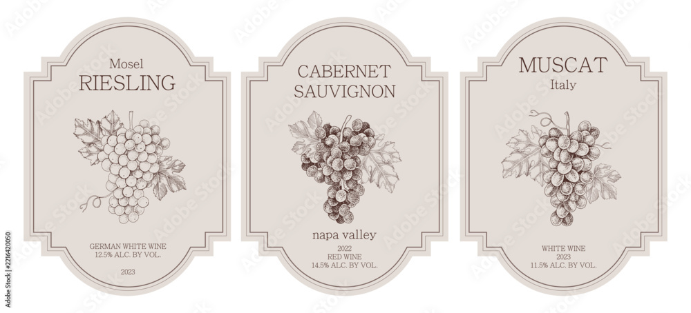Fototapeta premium Wine labels with hand drawn grapes illustrations in vintage style