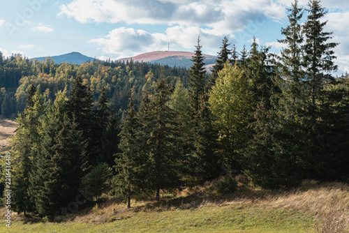 Spruce forest and mixed woodland on a mountain slope below the Kráľova hoľa summit, Low Tatras, Slovakia
