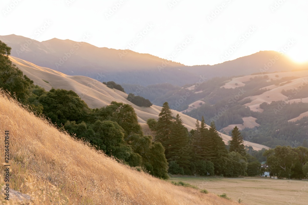 Fototapeta premium Golden Hills and Mountains at Sunset