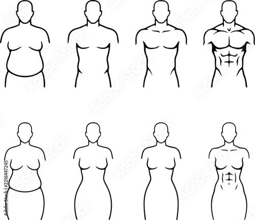 Body vector chart showing human fitness and physical transformation