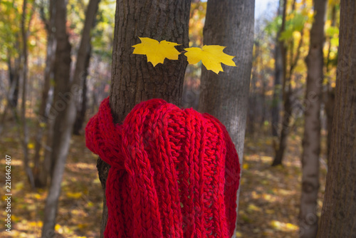 Funny autumn concept with a tree trunk decorated with a red scarf and maple leaf eyes