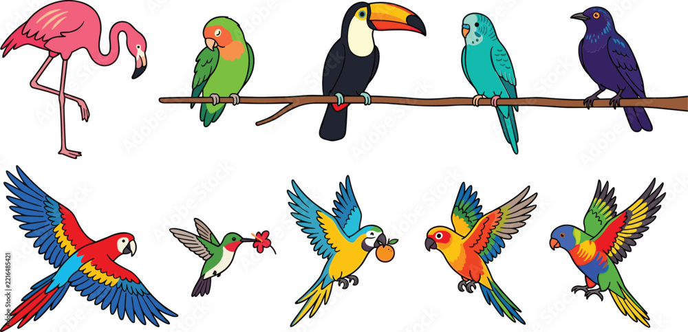 Fototapeta premium Tropical Exotic Birds Vector Illustration Set Featuring Colorful Macaw, Flamingo, Toucan, Parrot, Hummingbird, and Budgie Icons for Bright Wildlife Designs
