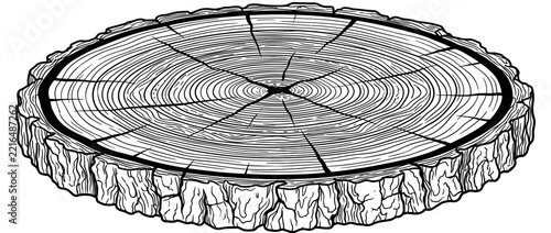 Wood Slice Cut Out with Annual Rings