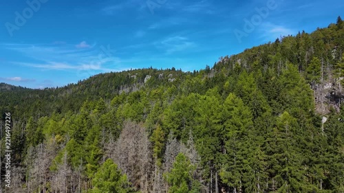 Aerial view of the Black Hills in South Dakota, USA. Rocks, mountains, and forest.