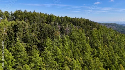 Aerial view of the Black Hills in South Dakota, USA. Rocks, mountains, and forest.