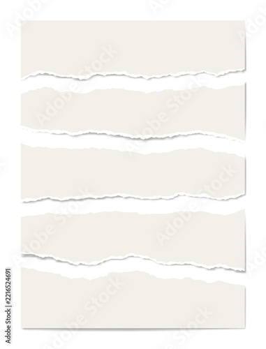 A sheet of paper torn into strips with ripped edges and realistic shadow isolated png.