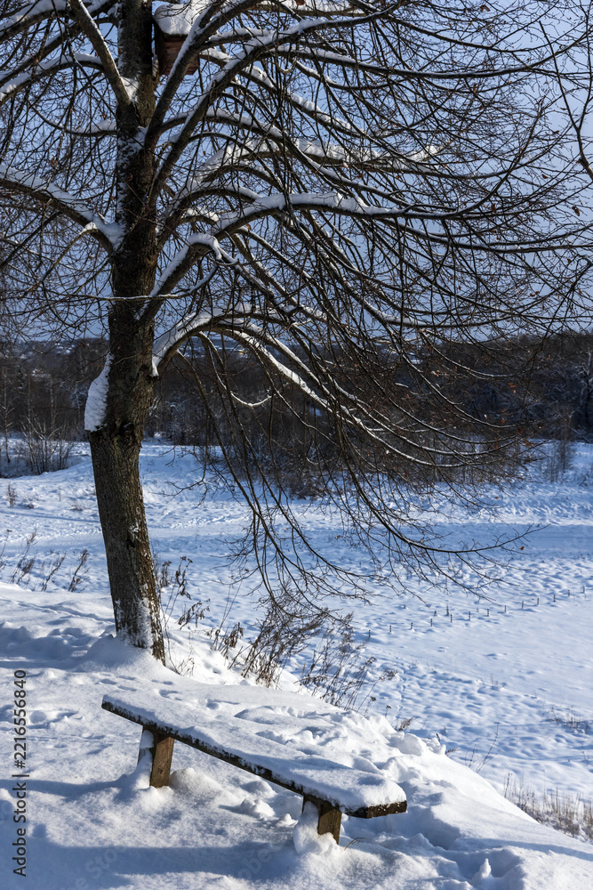 Fototapeta premium A snow covered wooden bench sits beneath a bare tree on a peaceful winter landscape. Soft sunlight highlights the snowdrifts and blue sky, evoking calm, solitude and countryside tranquility