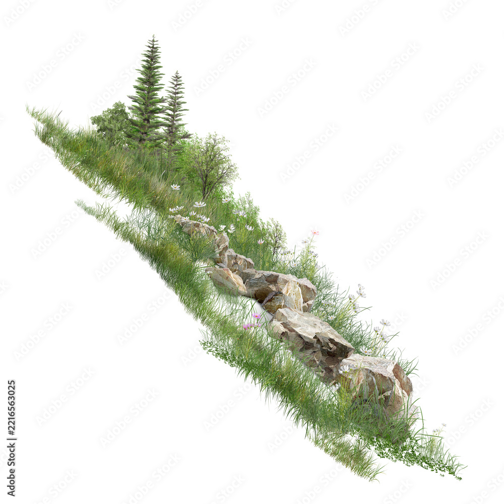 Fototapeta premium fern leaf isolated on white/High-resolution mountain meadow with sharp rocks, green grass, pine trees, and wildflowers isolated on white