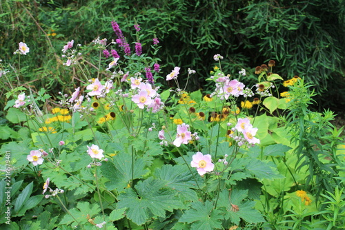 Blumen