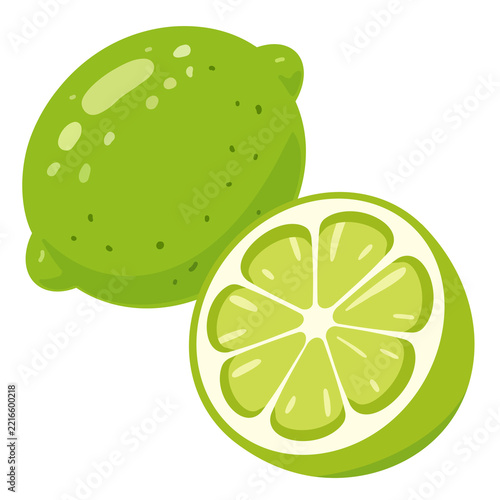 Whole and sliced green lime illustration