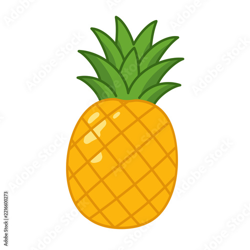 pineapple tropical fruit illustration