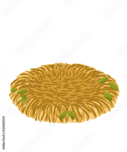 bird nest