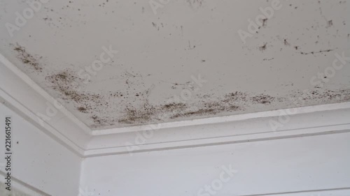 Dangerous toxic black mold and mildew spores growing on a damp ceiling inside a humid room, showing the result of condensation, poor ventilation, and water damage in a residential house
