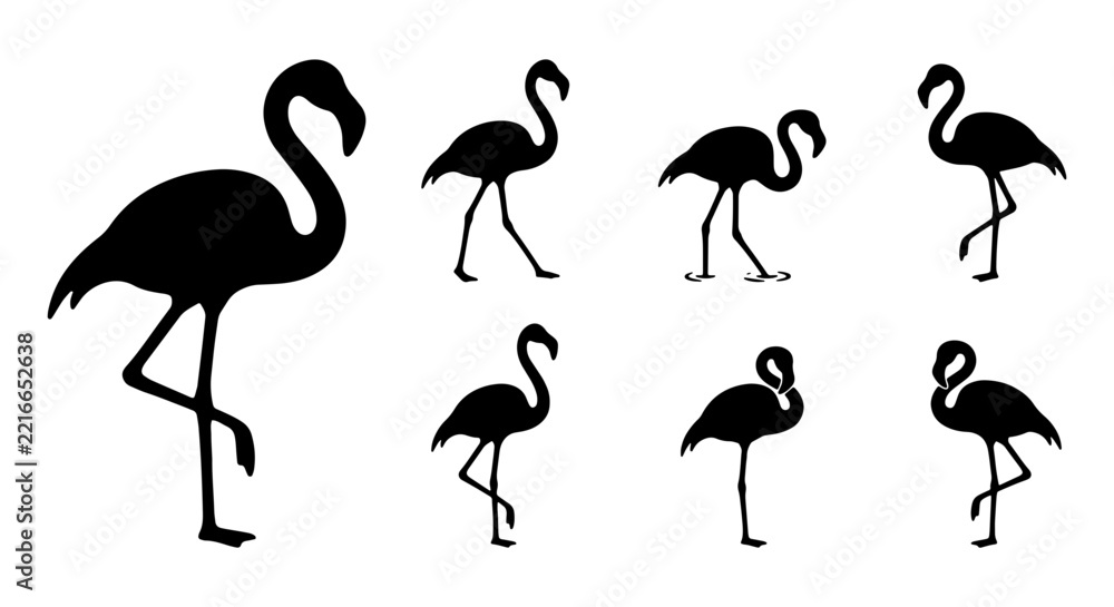 Obraz premium Flamingo silhouettes set with birds in various poses, tropical wildlife for design