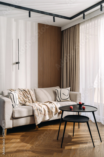 Modern living room interior with white sofa and wooden wall decor