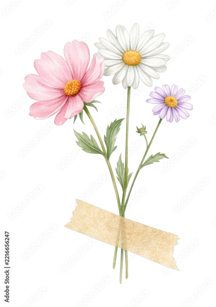 Fototapeta premium PNG Watercolor illustration of three delicate flowers taped together.
