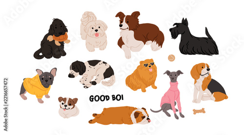 Dog breed collection with spaniel, collie, terrier, pomeranian and beagle in costumes. Flat cartoon hand drawn vector illustration.