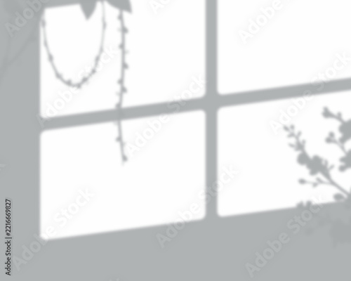 Solid neutral gray background, texture with a, smooth and uniform, matte surface appearance